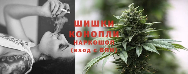 сатива Абинск
