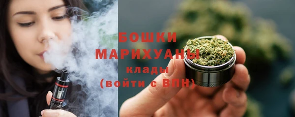 сатива Абинск