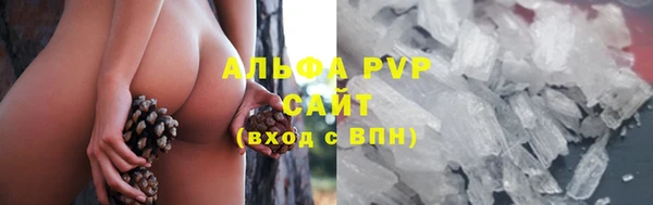 сатива Абинск