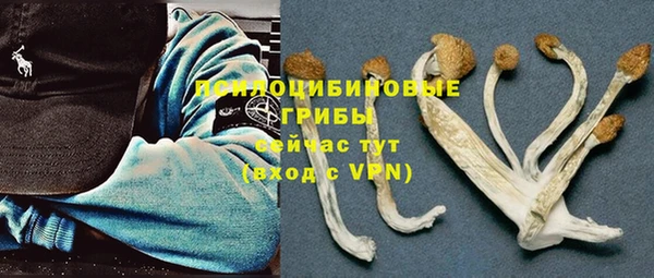 сатива Абинск